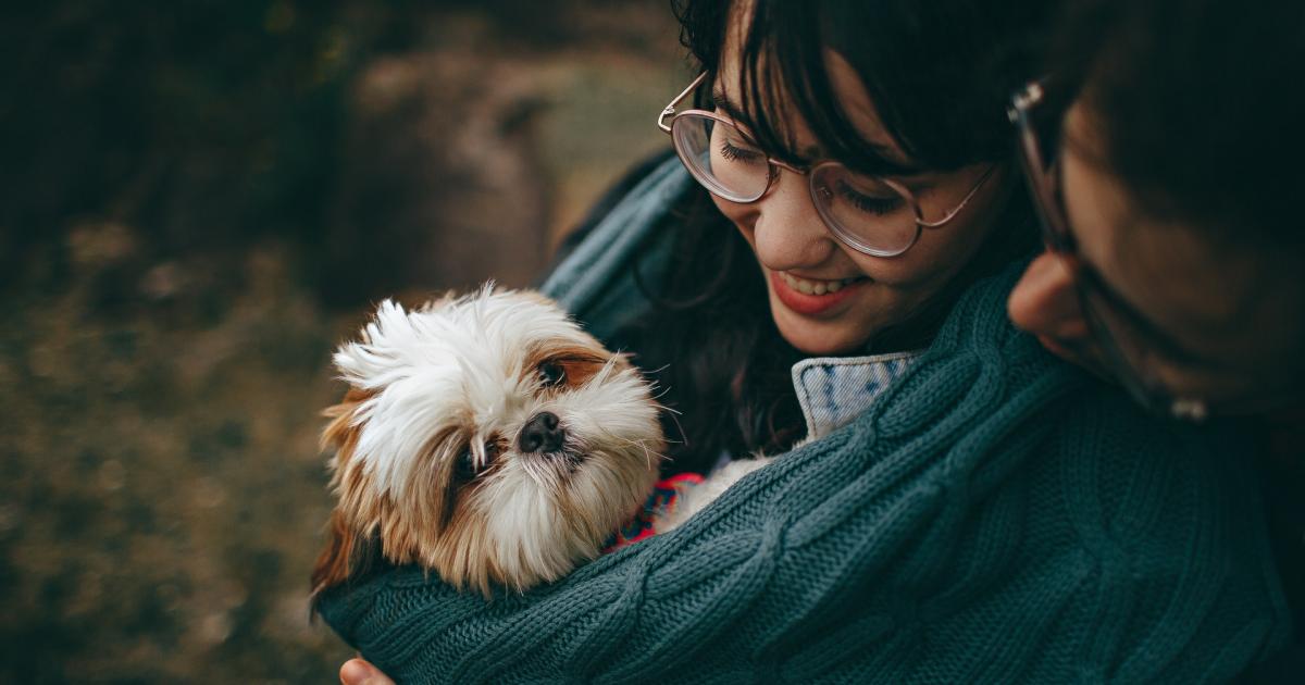 Sac de transport ventral best sale pour chien