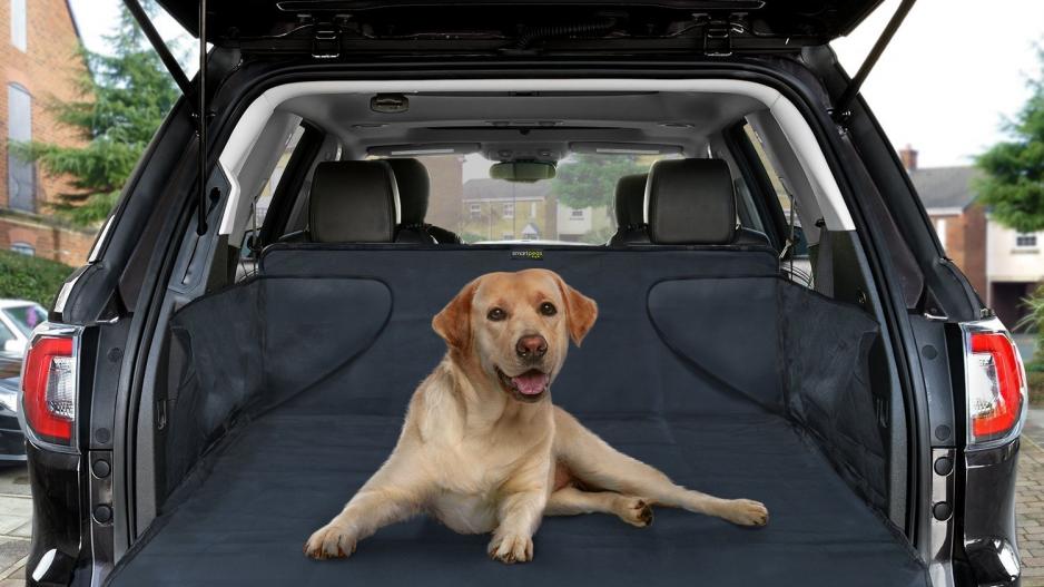 Tapis De Coffre Voiture Pour Chien