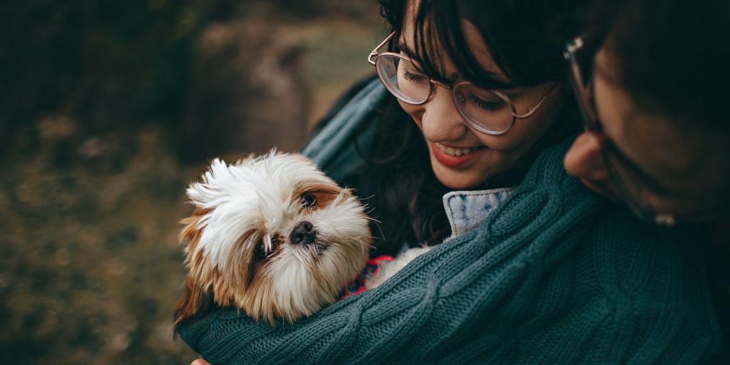 Comment choisir son sac ventral pour chiens